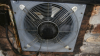 fan